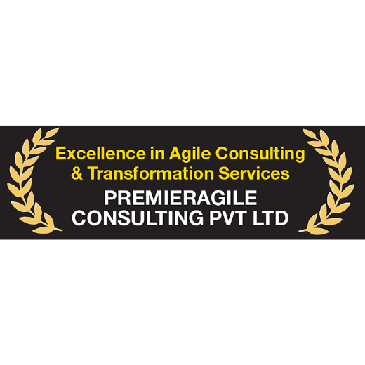 Excellence in Agile Consulting